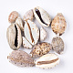 Cowrie Shell Pendants&nbsp;SSHEL-T008-27-1