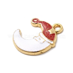 304 Stainless Steel Enamel Pendants&nbsp;STAS-P427-05A-G