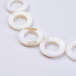 Natural Shell Beads Strands&nbsp;BSHE-P026-26
