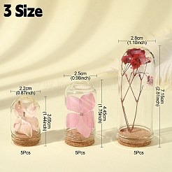 15Pcs 3 Styles Glass Dome Cloche Cover&nbsp;AJEW-YW0001-08