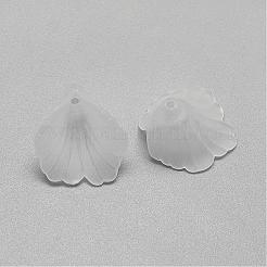 Transparent Acrylic Bead Caps&nbsp;FACR-S013-SB518