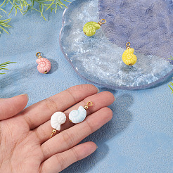 5Pcs Glazed Nautilus Seashell Shape Porcelain Pendants&nbsp;PALLOY-TAC0222
