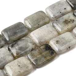 Natural Labradorite Beads Strands&nbsp;G-S386-A03