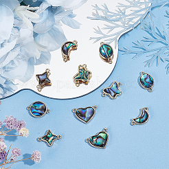 12Pcs 6 Styles Paua Shell Connector Charms&nbsp;FIND-FH0007-96G