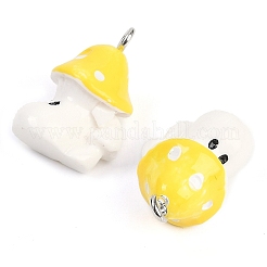 Opaque Resin Pendants&nbsp;CRES-U003-01E