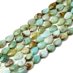 Natural Chalcedony Beads Strands&nbsp;G-B159-A07