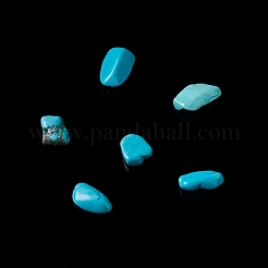 Natural Magnesite Chip Beads&nbsp;G-M364-09A