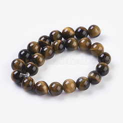 Natural Tiger Eye Beads Strands&nbsp;G-G099-8mm-5