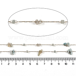 Ion Plating(IP) 316 Surgical Stainless Steel Chains&nbsp;AJEW-Q153-01F