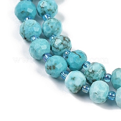 Dyed Natural Howlite Beads Strands&nbsp;G-H057-A18-01