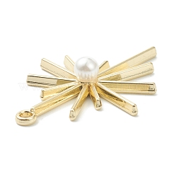 Alloy Pendants&nbsp;PALLOY-E580-05LG
