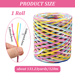 Segment Dyed Raffia Paper Cords for DIY Craft&nbsp;OCOR-WH20020-27C
