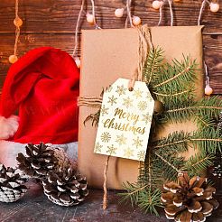 Christmas Theme Paper Tapes&nbsp;DIY-I069-03E