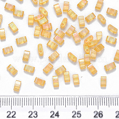 FGB 2-Hole Baking Paint Transparent Glass Seed Beads&nbsp;SEED-S031-M-251