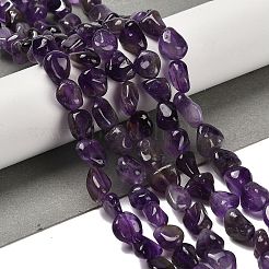 Natural Amethyst Beads Strands&nbsp;X-G-P497-01E-45