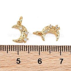 SHEGRACE Brass Micro Pave Clear Cubic Zirconia Charms&nbsp;XGRQ4N234-702G