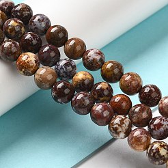 Natural Ocean Jasper Beads Strands&nbsp;G-H298-A13-03