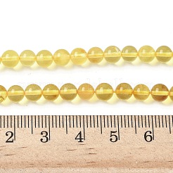 Natural Amber Beads Strands&nbsp;G-L095-B01-5mm-01