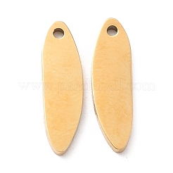 Ion Plating(IP) 316 Surgical Stainless Steel Charms&nbsp;STAS-L265-09G