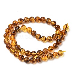 Natural Amber Beads Strands&nbsp;G-L095-B01-8mm-04