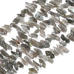 Natural Labradorite Beads Strands&nbsp;G-Z124-C01-01