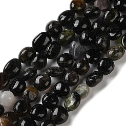 Natural Tourmaline Beads Strands&nbsp;G-C268-A02-8x10mm