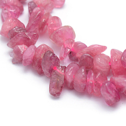 Natural Red Tourmaline Beads Strands&nbsp;G-P332-67