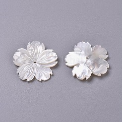 Natural White Shell Beads&nbsp;BSHE-XCP0001-84