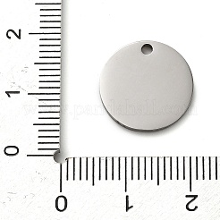 304 Stainless Steel Pendants&nbsp;STAS-H438-07P-04