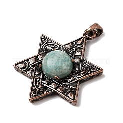 Natural Amazonite Pendants&nbsp;G-A297-06R-18