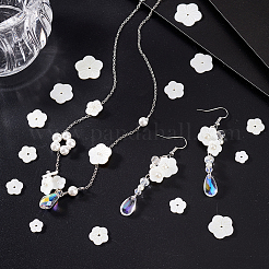 120Pcs 6 Styles Natural White Shell Beads&nbsp;SHEL-GA0001-26