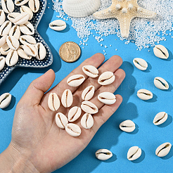 100Pcs Natural Cowrie Shell Beads&nbsp;BSHE-LT0001-07B