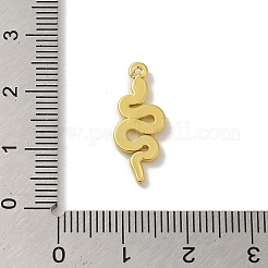 304 Stainless Steel Pendants&nbsp;STAS-Q322-20G