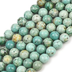 Natural Peruvian Turquoise(Jasper) Beads Strands&nbsp;G-F836-A02-10mm