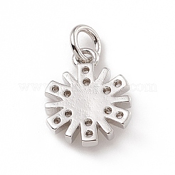 Brass Micro Pave Cubic Zirconia Charms&nbsp;ZIRC-F132-57P