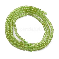 Natural Peridot Beads Stands&nbsp;G-H042-B31-01