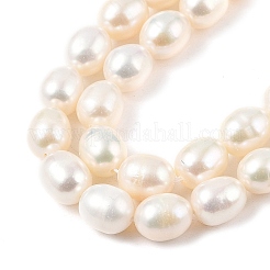 Natural Cultured Freshwater Pearl Beads Strands&nbsp;PEAR-I007-01D-01A