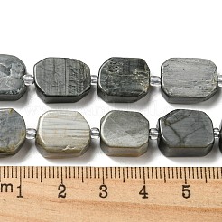 Natural Eagle Eye Stone Beads Strands&nbsp;G-G072-B01-01