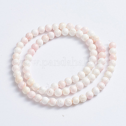 Natural Pink Shell Beads Strands&nbsp;X-SSHEL-L016-18A
