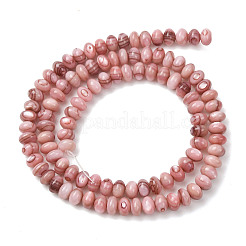 Natural Sea Shell Beads Strands&nbsp;SHEL-K006-75