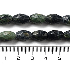 Natural Kambaba Jasper Beads Strands&nbsp;G-P520-C20-01