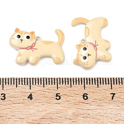 Baking Paint Alloy Pendants&nbsp;FIND-G109-04B