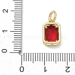 Brass Pave Cubic Zirconia Charms&nbsp;KK-CBA56EF-33G