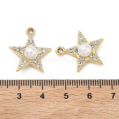 Alloy Pendants&nbsp;ALRI-D303-11G