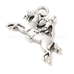 Tibetan Style Zinc Alloy Pendants&nbsp;TIBEP-R334-305AS-RS