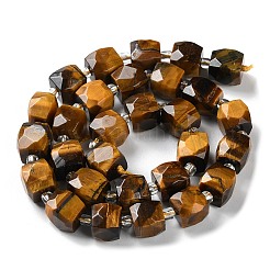 Natural Tiger Eye Beads Strands&nbsp;G-B065-A05
