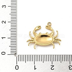 304 Stainless Steel Pendants&nbsp;X-STAS-I322-25G
