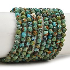 Natural HuBei Turquoise Beads Strands&nbsp;G-P629-A04-03