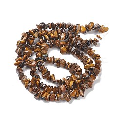 Natural Tiger Eye Chips Beads Strands&nbsp;F012-2