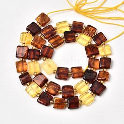 Natural Amber Beads Strands&nbsp;G-C260-A01-05
